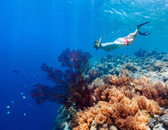 Khoá học Freediving