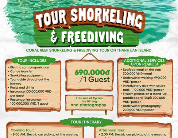 Coral Reef Snorkeling & Freediving Tour