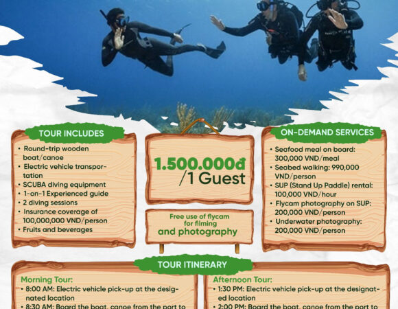 Try Dive Coral Reef Exploration At Thanh Lan Island